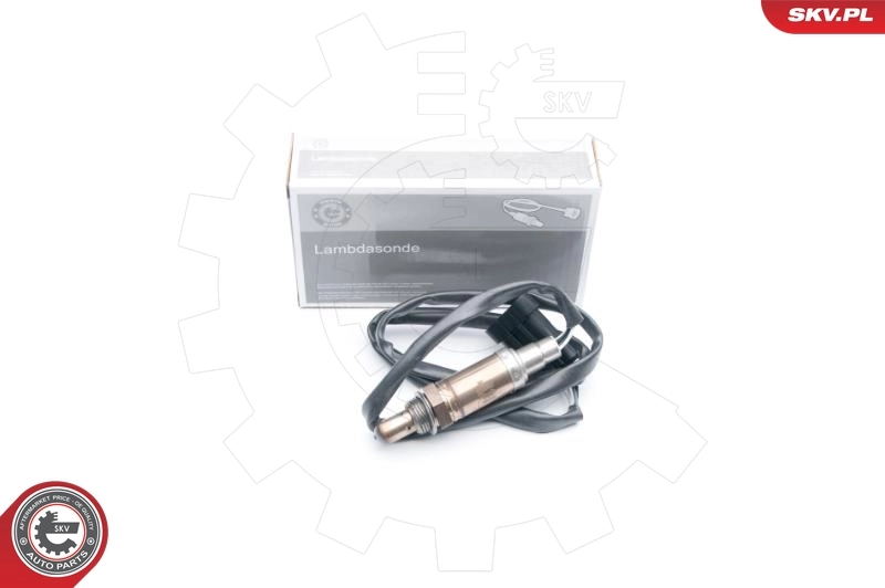 Oxygen Sensor